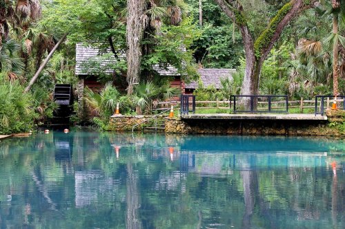 A serene blue spring surrounded by lush greenery and a wooden platform, with a rustic building in the background.