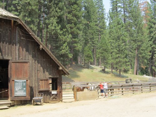 Two people interact with a horse near a rustic barn in a forested area. Pine trees surround the scene.