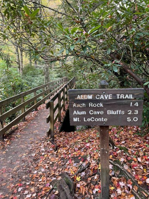 Wooden trail sign at Alum Cave Trail, indicating distances to Ash Rock, Alum Cave Bluffs, and Mt. LeConte, surrounded by autumn foliage.