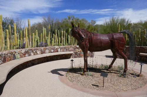 A metal horse sculpture stands in a desert garden surrounded by cacti and stone benches under a blue sky.