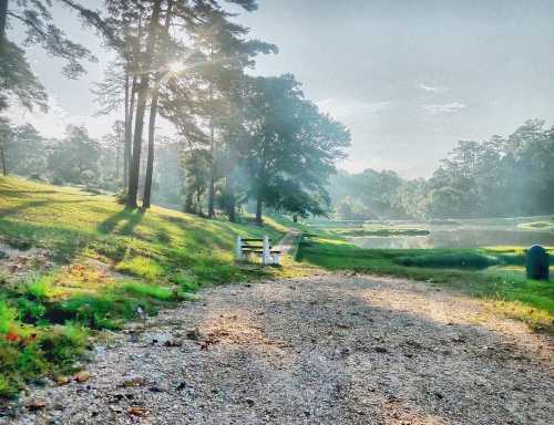 A serene landscape with a gravel path, trees, and a misty lake in the background, illuminated by soft morning light.