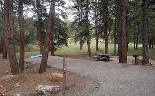 A gravel path leads to a picnic area with a table and grill, surrounded by tall trees in a serene outdoor setting.