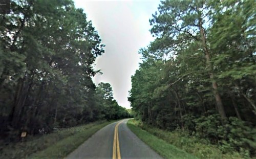 A winding road surrounded by dense green trees under a cloudy sky.
