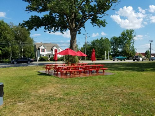 A grassy area with red picnic tables and umbrellas under a large tree, near a road with passing cars.