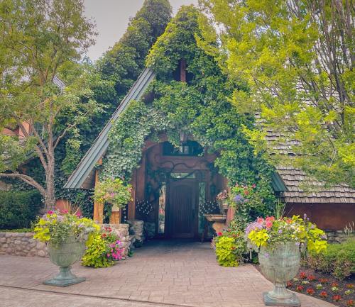 A charming entrance with a wooden door, surrounded by lush greenery and colorful flowers in large planters.
