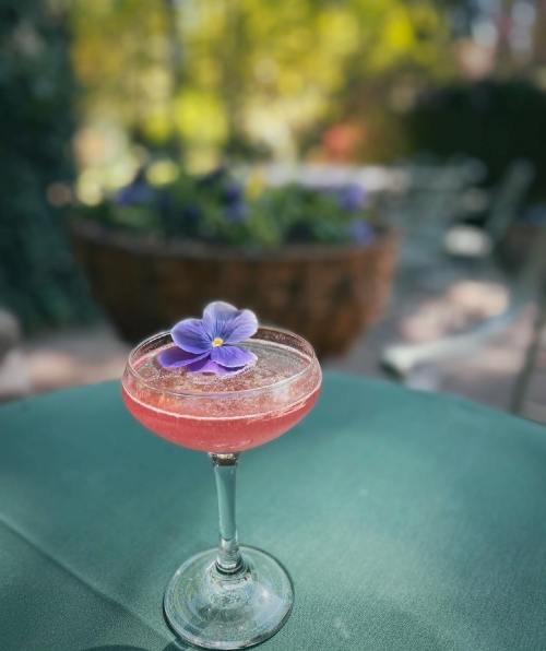 A cocktail garnished with a purple flower sits on a green tablecloth, with a blurred garden background.