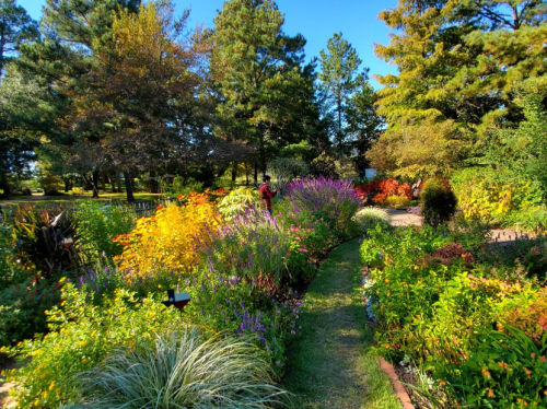 A vibrant garden filled with colorful flowers and greenery, with a person walking along a winding path.