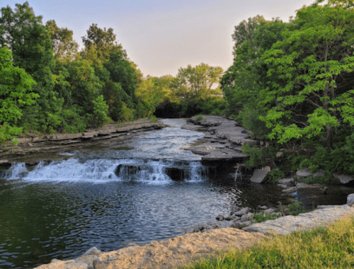 A serene river flows over rocks, surrounded by lush green trees under a soft evening light.