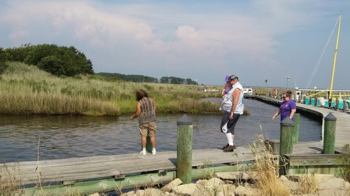 Three people stand on a wooden dock by a calm waterway, surrounded by tall grass and a clear sky.