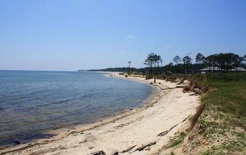 A serene beach scene with sandy shores, gentle waves, and trees lining the coast under a clear blue sky.