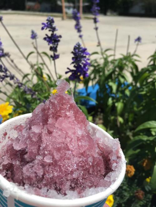 A cup of purple shaved ice sits in front of vibrant flowers and greenery on a sunny day.