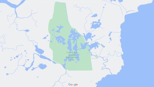 Map showing the Fishing Bay Wildlife Management Area, highlighted in green, with surrounding water bodies and land.