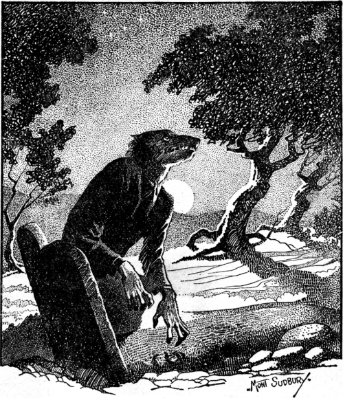 A simple black silhouette of a cat sitting upright with its tail curled around its body.