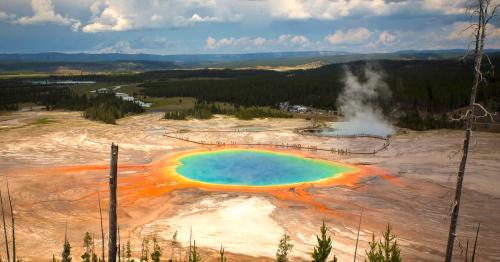 A vibrant geothermal pool surrounded by colorful mineral deposits in Yellowstone National Park, with a scenic landscape.