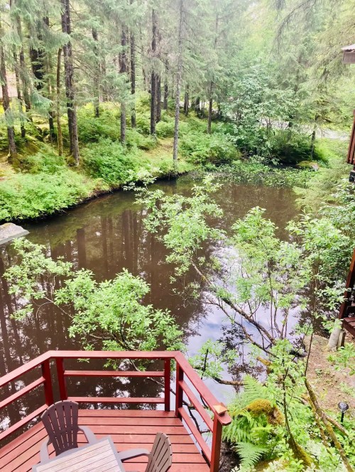 A serene view of a dark river surrounded by lush green trees, with a wooden deck in the foreground.