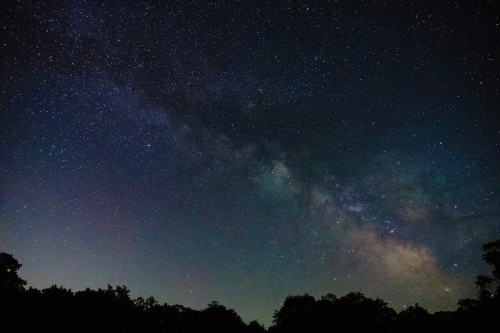 A starry night sky with the Milky Way visible, framed by silhouettes of trees at the bottom.