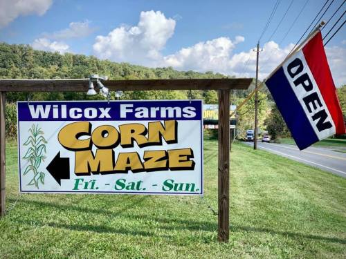 Sign for Wilcox Farms Corn Maze with an "Open" flag, indicating hours: Friday to Sunday, set against a green landscape.