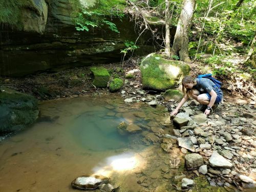 A person crouches by a small, clear pond in a lush, green forest, examining rocks along the water's edge.