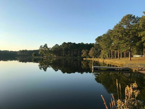 A serene lake surrounded by trees, reflecting the clear sky and shoreline in calm waters.