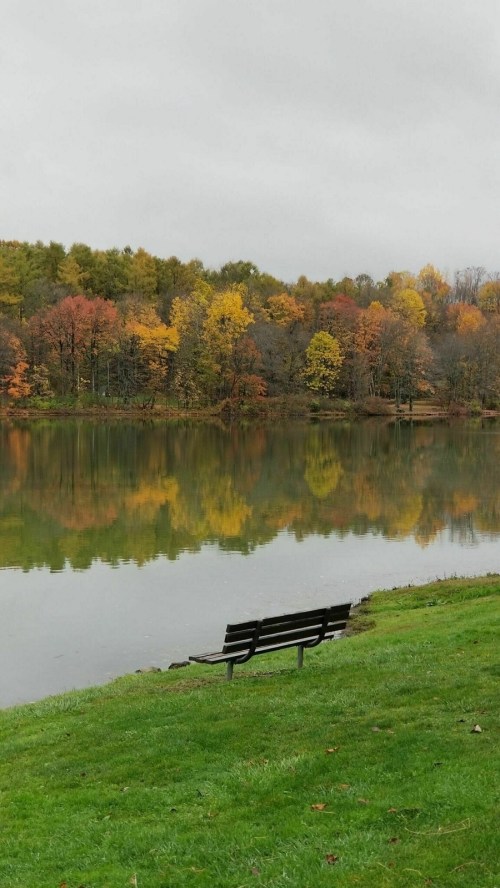 A serene lake surrounded by autumn trees, with a lone bench facing the water, reflecting the colorful foliage.