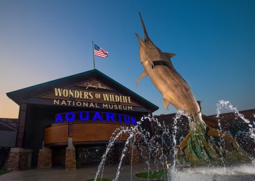 Entrance of the Wonders of Wildlife National Museum and Aquarium, featuring a large fish sculpture and fountain.