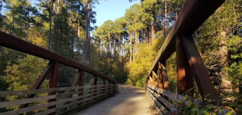 A rustic metal bridge spans a path through a forest of tall trees, with vibrant autumn foliage on either side.