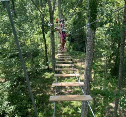 A person navigates a wooden bridge high in the trees, surrounded by lush green foliage.