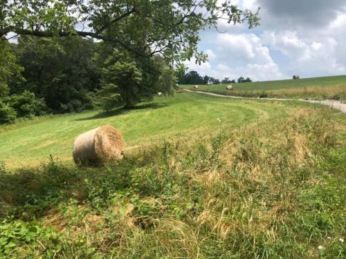 A rural landscape featuring a hay bale on a grassy field, with trees and a cloudy sky in the background.
