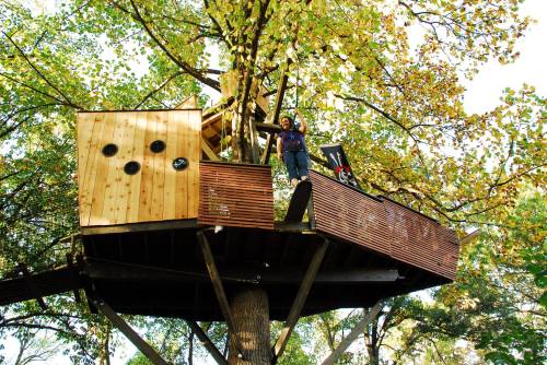 A person stands on a wooden treehouse built among green trees, surrounded by autumn foliage.