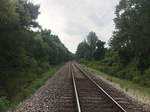 A view of railway tracks stretching into the distance, flanked by lush greenery and trees on both sides.