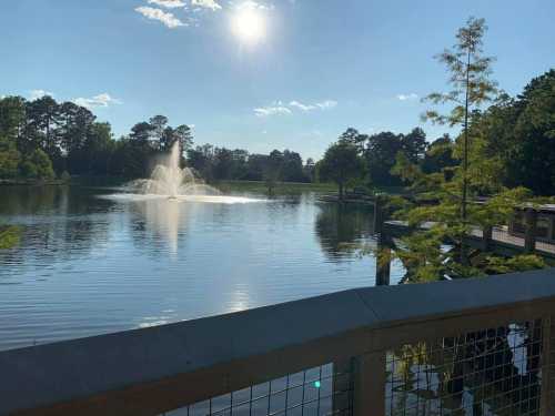 A serene lake scene with a fountain, surrounded by trees and a clear blue sky, viewed from a wooden deck.