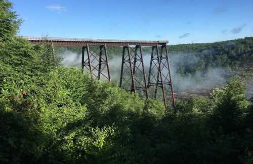 A tall, rusted railway trestle bridge spans a lush green valley, with mist rising from the forest below.