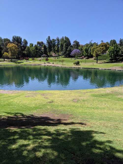 A serene park scene featuring a calm pond surrounded by lush green grass and trees under a clear blue sky.