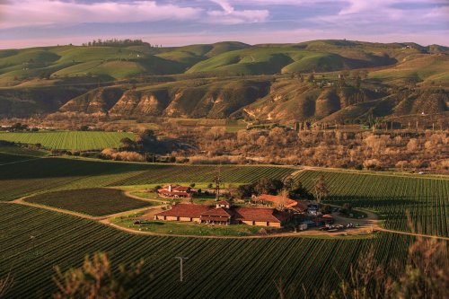 A scenic view of rolling green hills and vineyards surrounding a rustic farmhouse under a cloudy sky.