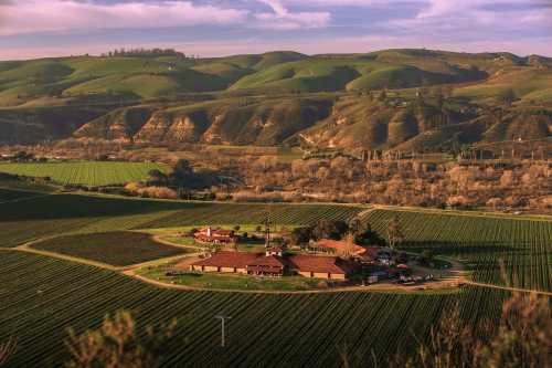 A scenic view of rolling green hills and vineyards surrounding a rustic farmhouse under a cloudy sky.