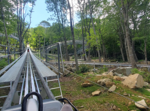 A view from a roller coaster track winding through a forested area with trees and rocks visible.