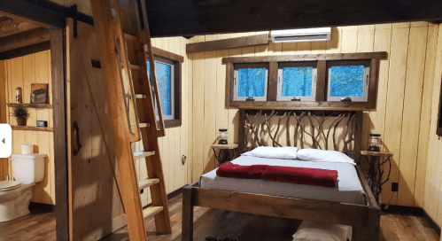 Cozy rustic bedroom with wooden decor, a ladder, and large windows overlooking greenery.