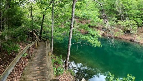 A wooden walkway leads to a serene, green-tinted pond surrounded by lush trees and foliage.