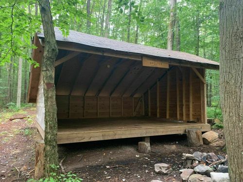 A wooden shelter in a forested area, with a raised platform and open front, surrounded by trees and a fire pit.