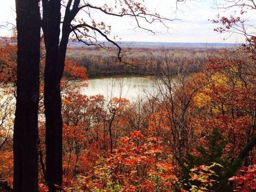 A scenic view of a river surrounded by autumn foliage and trees, showcasing vibrant fall colors.