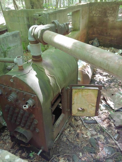 An old, rusted industrial machine with pipes, surrounded by overgrown vegetation in a dilapidated area.