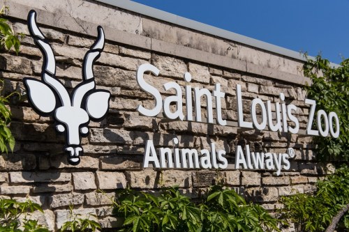 Sign for the Saint Louis Zoo featuring a stylized antelope head and the slogan "Animals Always."