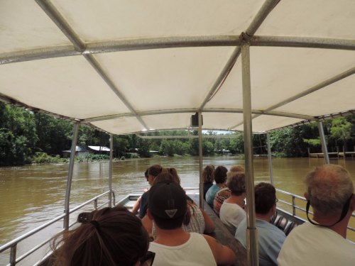 A group of people sitting on a boat, surrounded by lush greenery and a river under a canopy.
