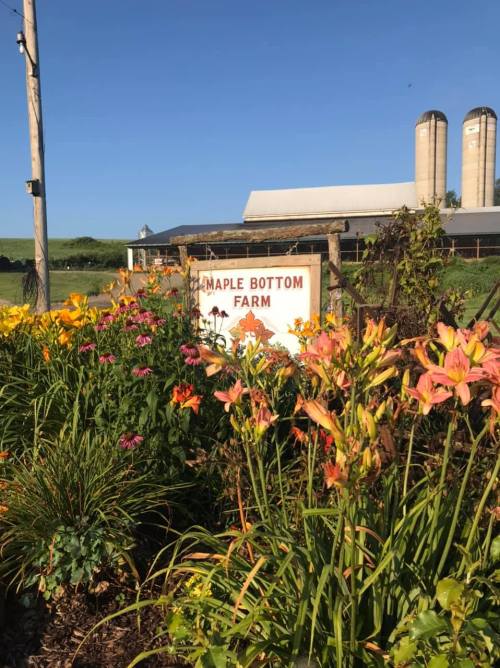A sign for Maple Bottom Farm surrounded by colorful flowers and a clear blue sky, with silos in the background.