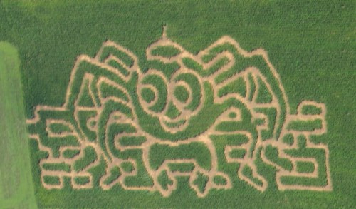 Aerial view of a corn maze featuring a large, cartoonish spider design in a green field.