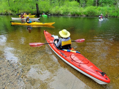 A group of kayakers in colorful kayaks paddles on a calm river surrounded by lush greenery.