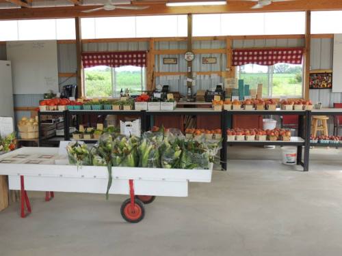 A farm stand interior with fresh produce, flowers, and baked goods displayed on tables and shelves.