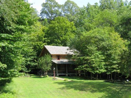 A rustic log cabin surrounded by lush green trees and a grassy area.