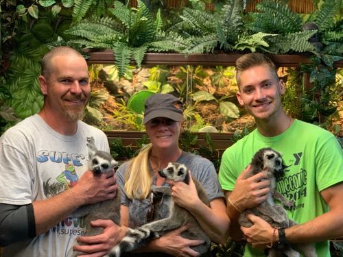 Three people hold lemurs in a lush, green environment with plants in the background. Smiles all around!