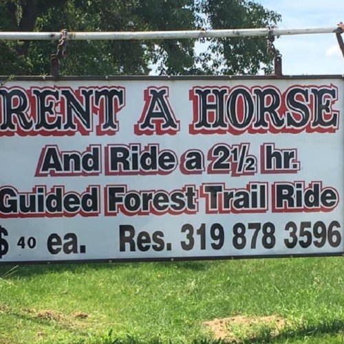 Sign advertising horse rentals for a 2.5-hour guided forest trail ride, priced at $40 each. Contact: 319-878-3596.